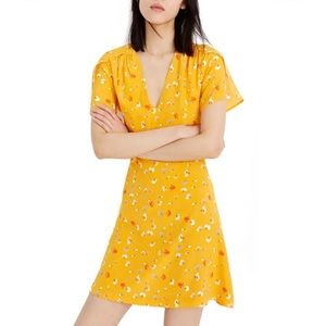 MADEWELL Silk Belladonna Dress Painted Carnations